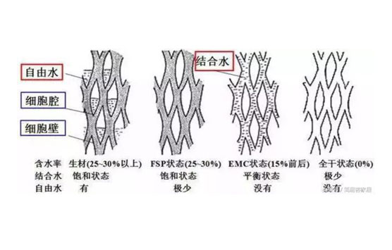 木材含水結構圖